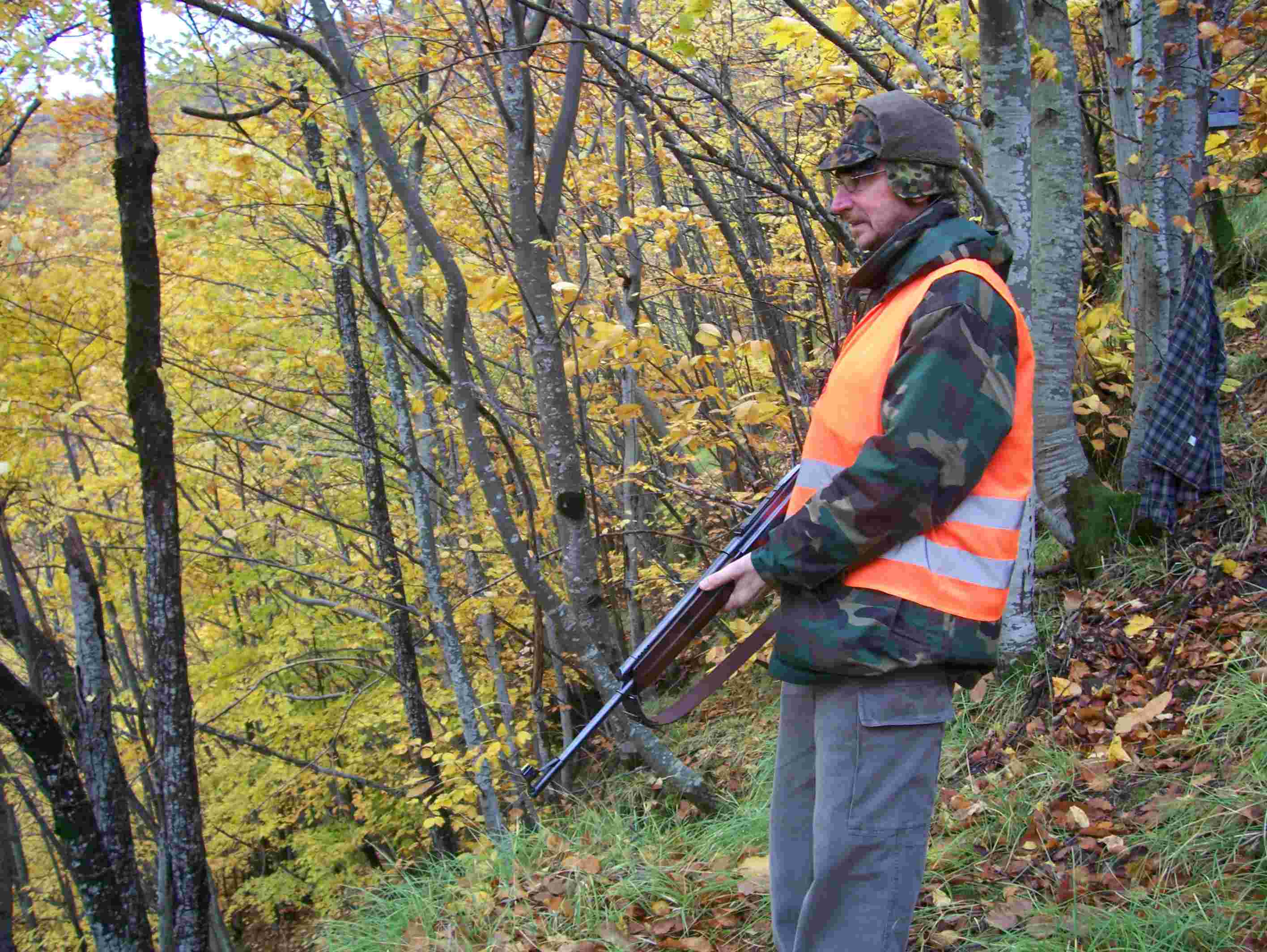  Image name: 13 Caccia.JPG 
 width: 2832 pixel 
 height: 2128 pixel 
 Size: 279806 bytes 
 Click to enlarge 